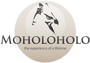 moholoholo_logo